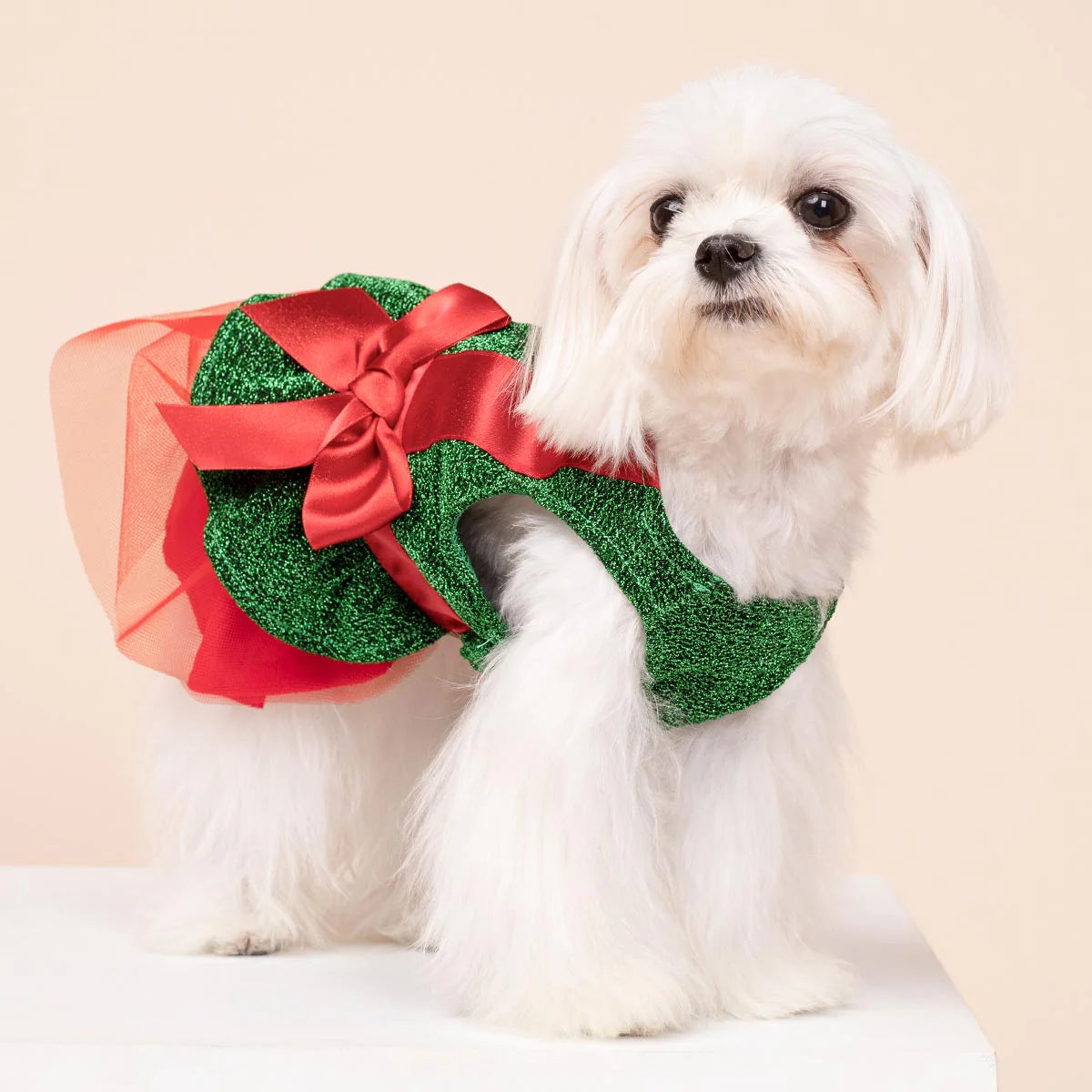 Funny Christmas Gift Dog Dress