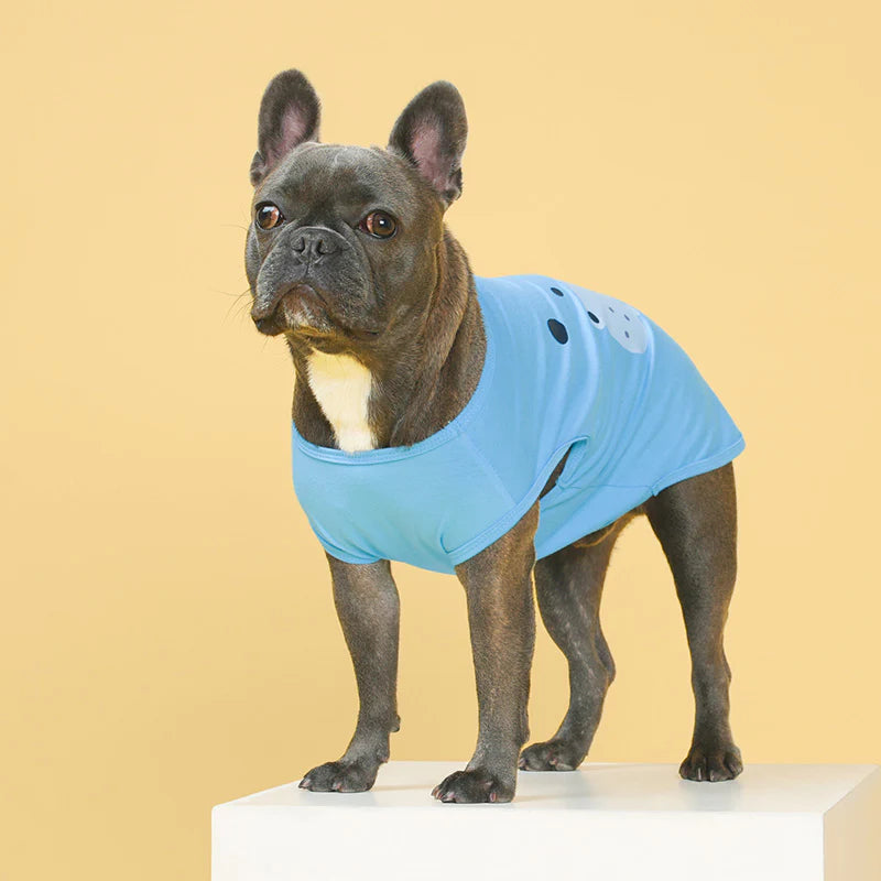 Hippo Face Dog Shirt