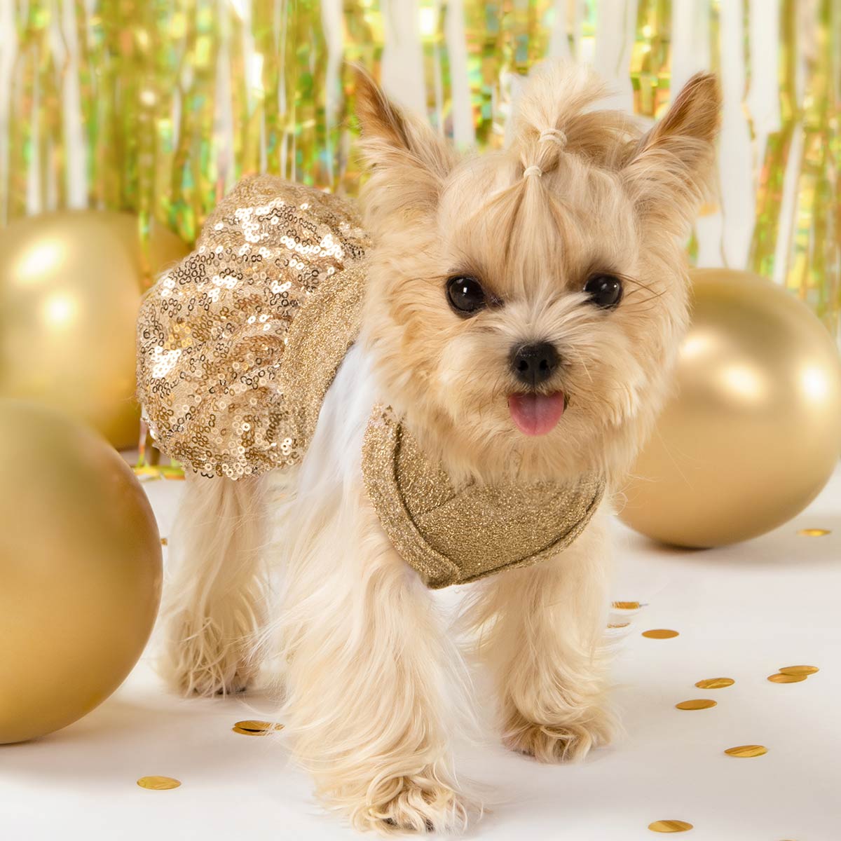 Sparkly Sequin Gold Fancy Dress