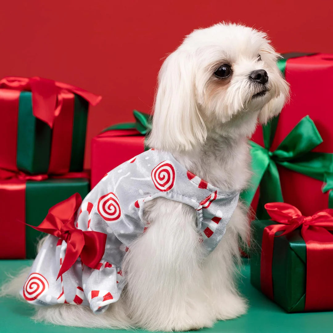 Christmas Candy Dog Dress