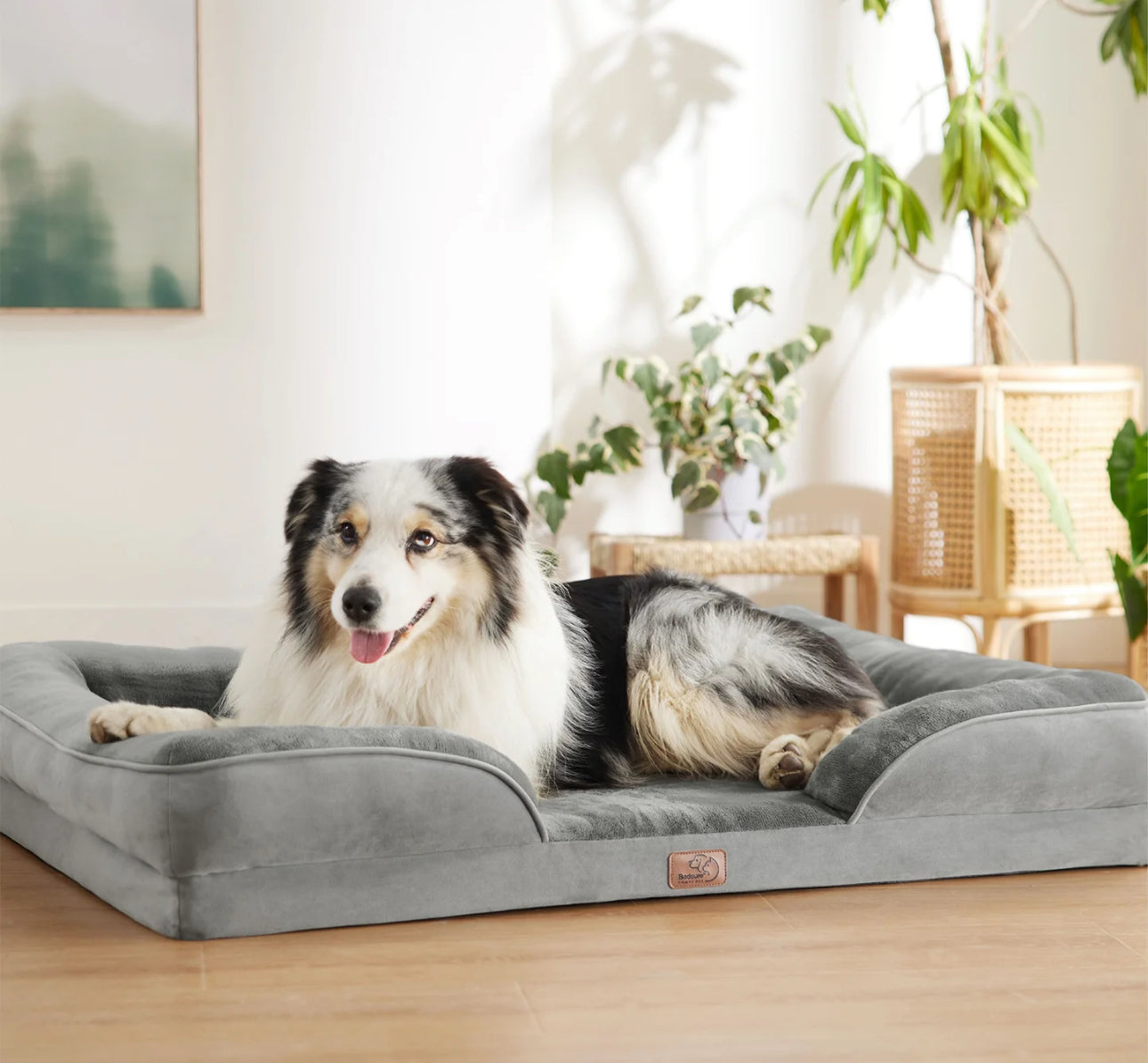 Cama ortopédica extragrande para perros