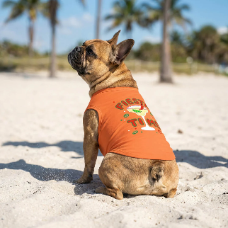 FIESTA TIME DOG SHIRT