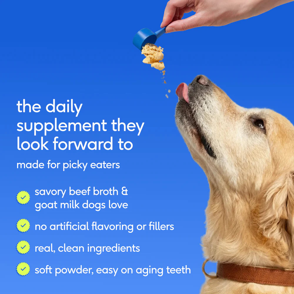 Native Pet Senior Daily - Vitaminas y suplementos diarios para perros mayores