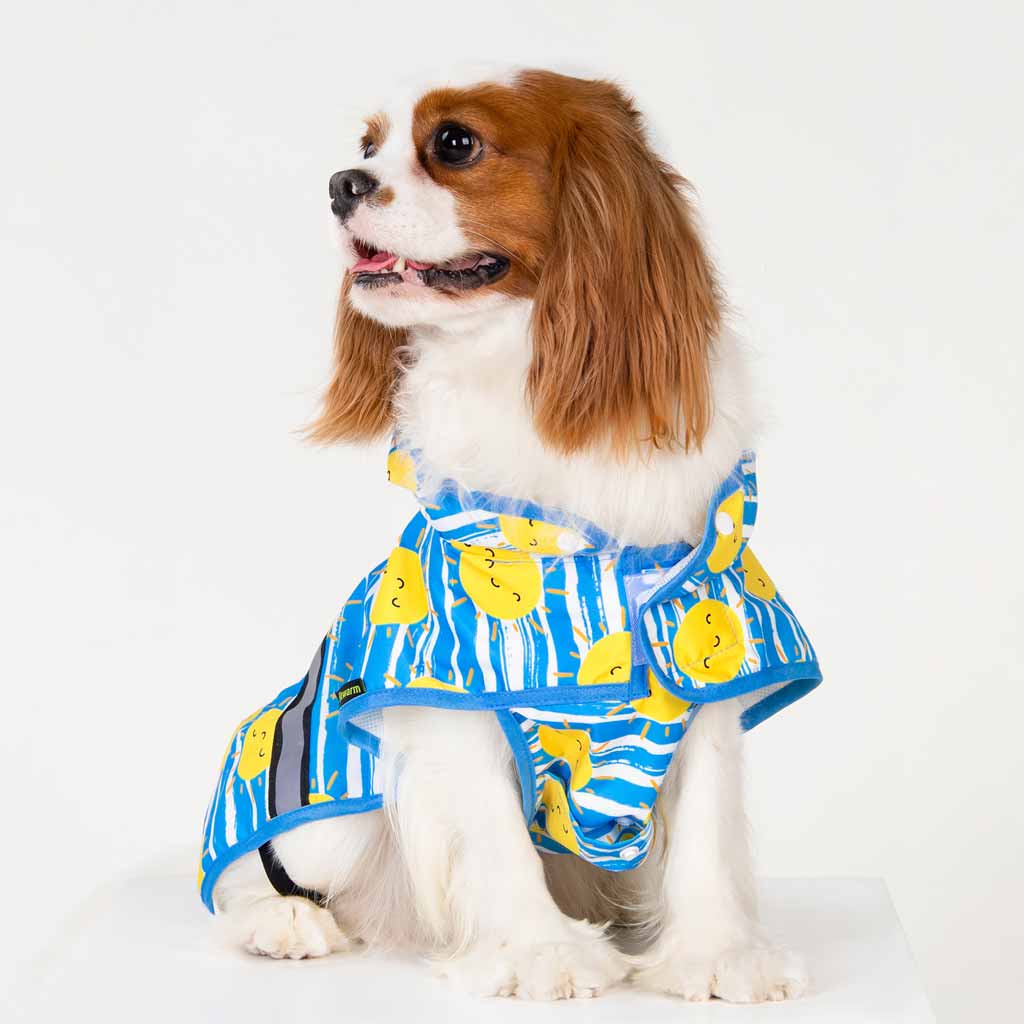 Sun Dog Raincoat