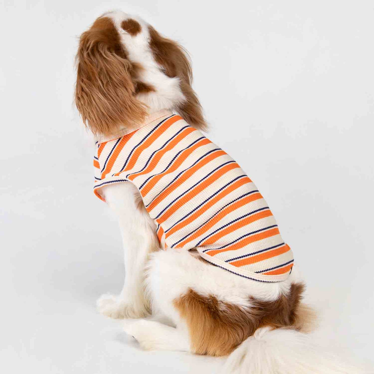 Waffle Striped Dog Shirt naranja