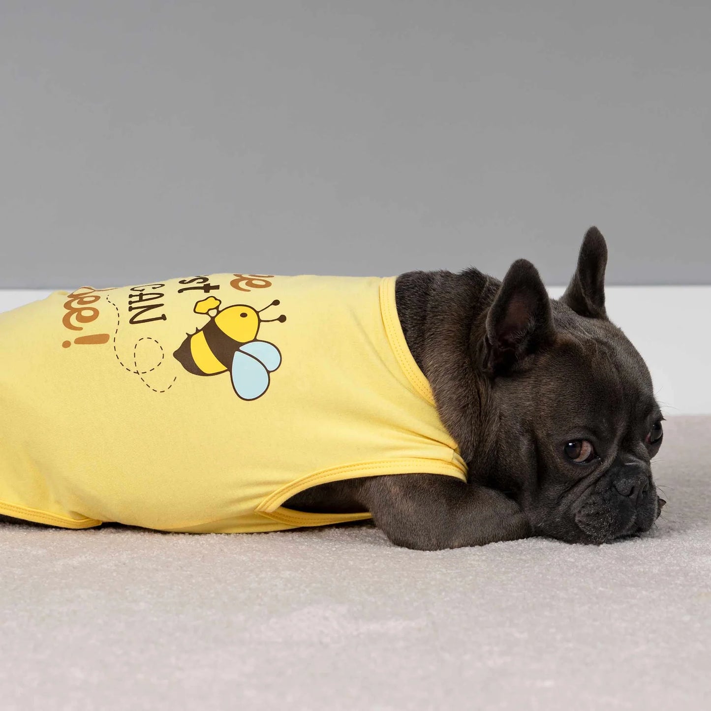 Bee the Best You Can Bee Funny Dog Shirt