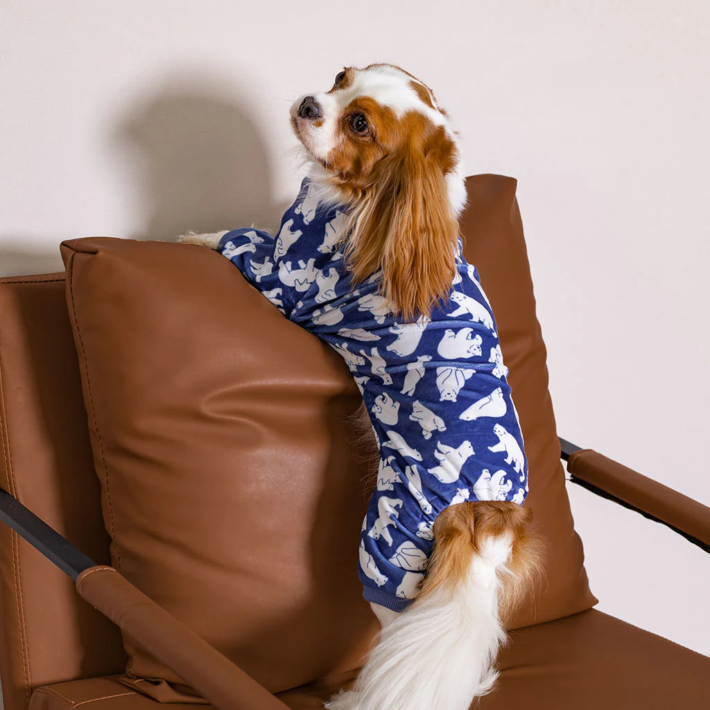 Oso Polar Pijamas