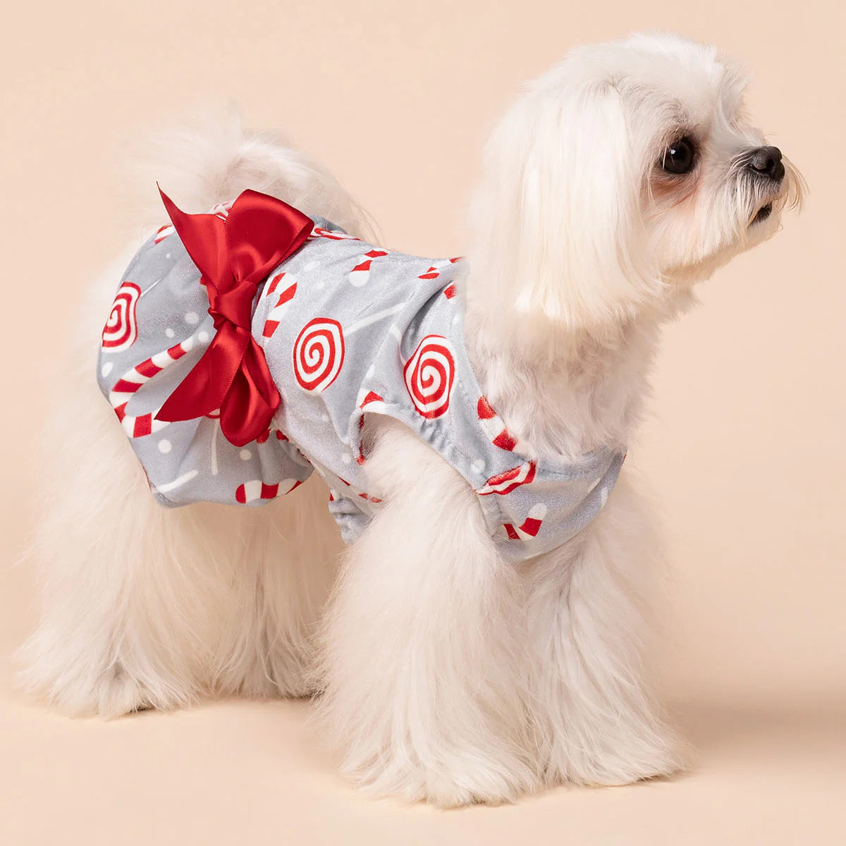 Christmas Candy Dog Dress