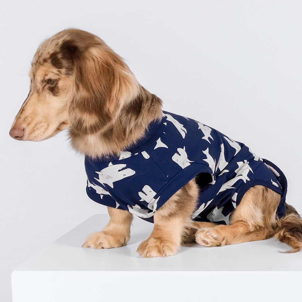 traje de recuperación para perros, algodón