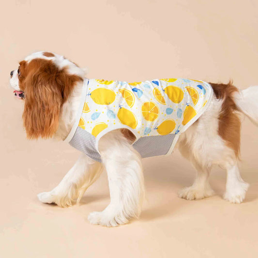 camisa para perro con protección solar UV UPF 50+