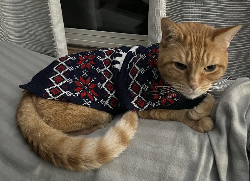 Moose Fair Isle Dog & Cat Sweater, Navy