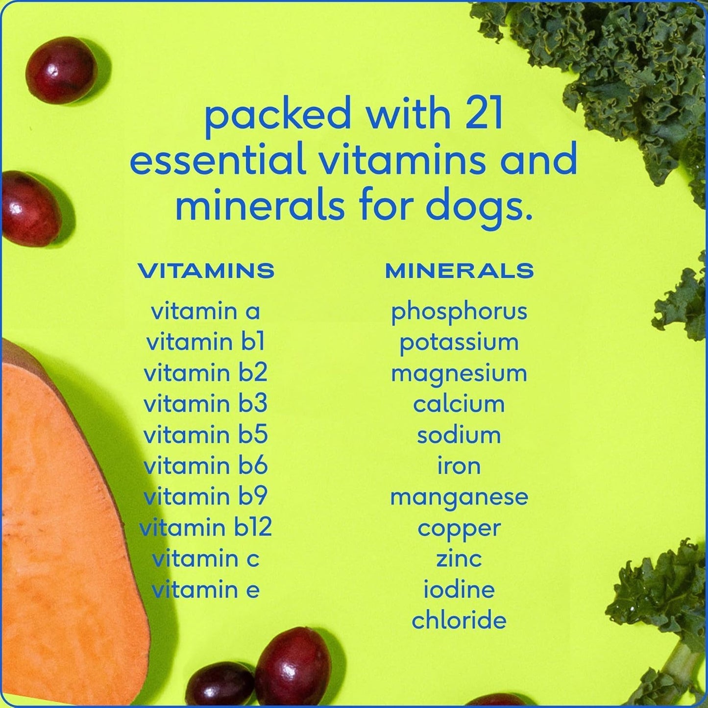 Multivitamínico 11 en 1 para perros con 21 suplementos y vitaminas Native Pet