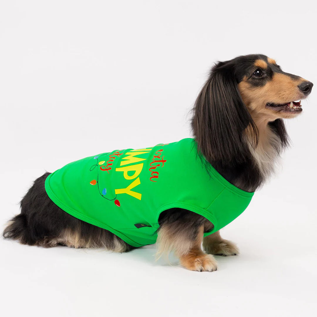 FEELING EXTRA GRUMPY TODAY DOG SHIRT