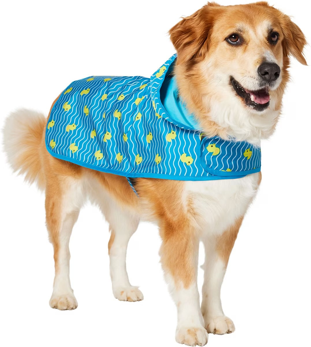 Lightweight Raincoat para perros