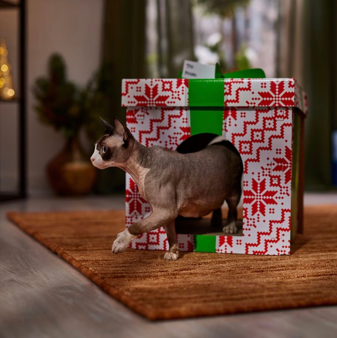 Holiday Gift Box Cardboard Cat House