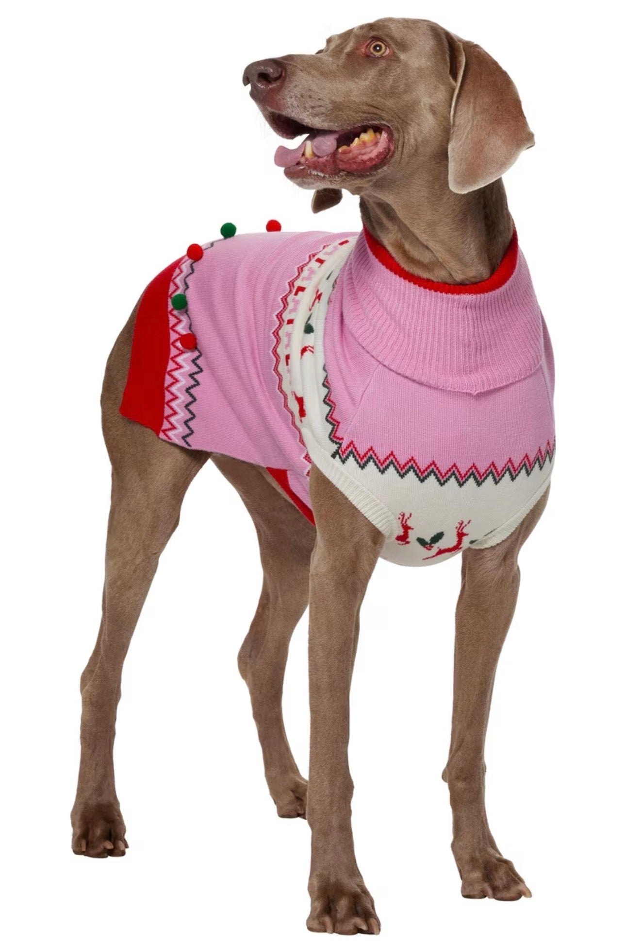 Fa La La 3D Dog & Cat Turtleneck Sweater
