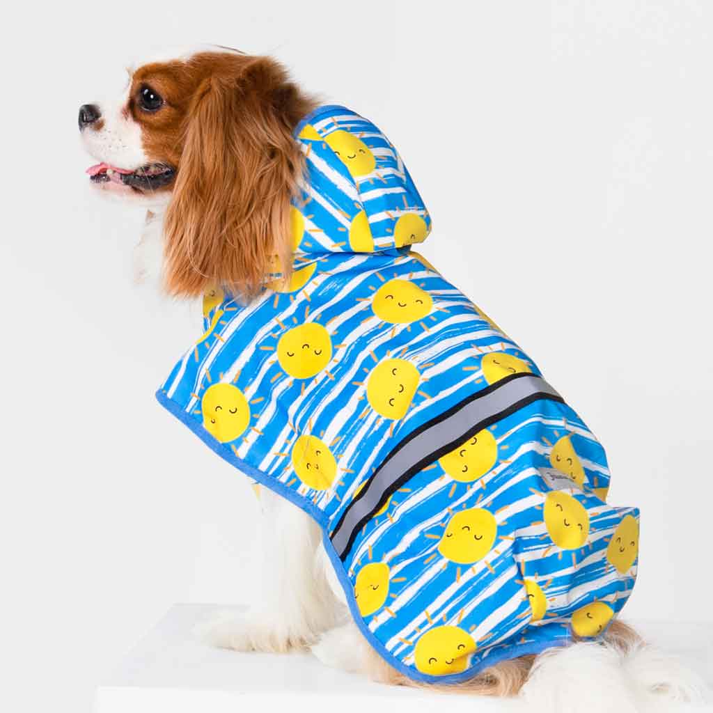 Sun Dog Raincoat