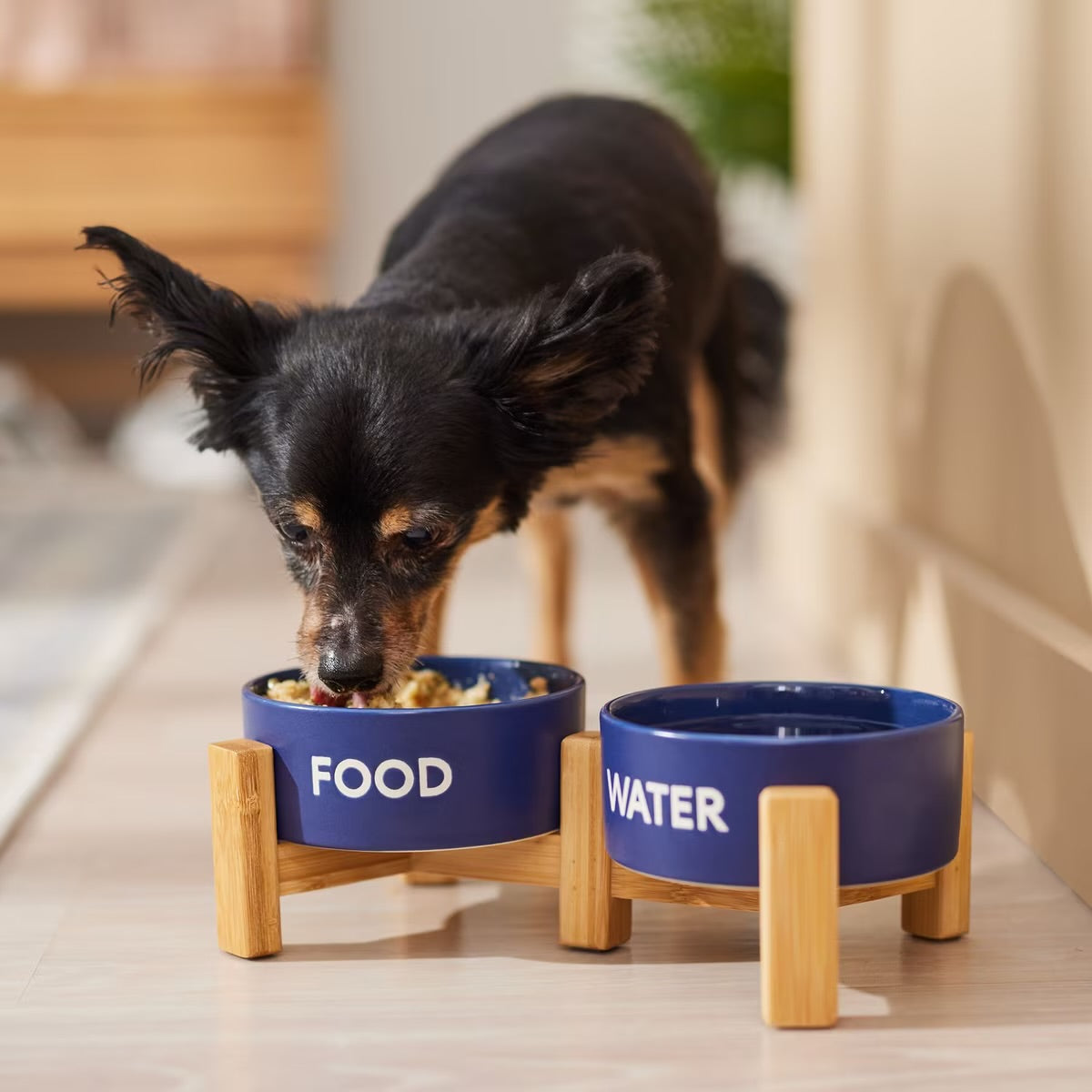 Double Diner Ceramic Dog/Cat Bowl, Medium: 3 cup