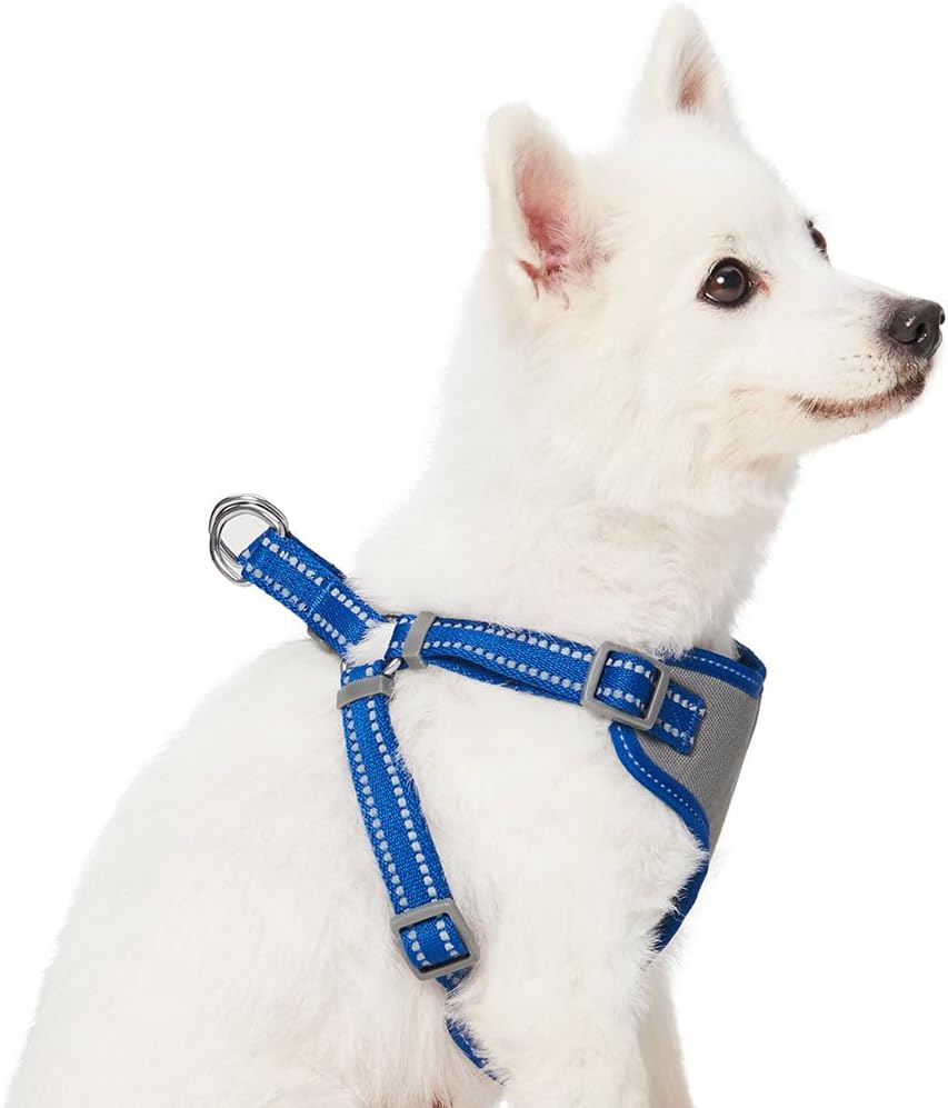 Blueberry Pet  - Juego de arnés reflectante para perro grande