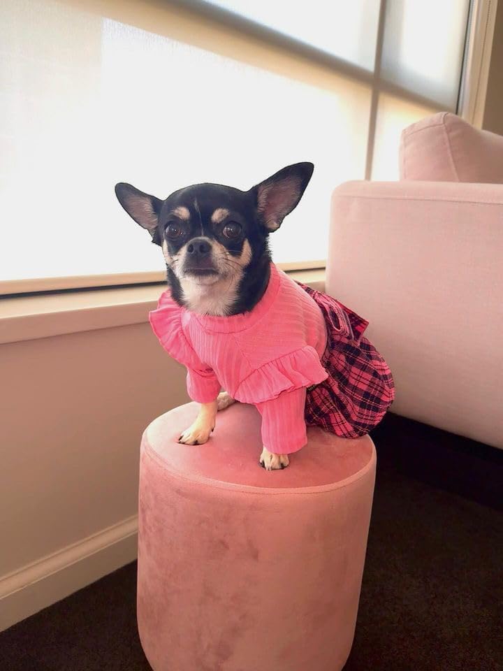 Vestido de punto a cuadros para perro rosado