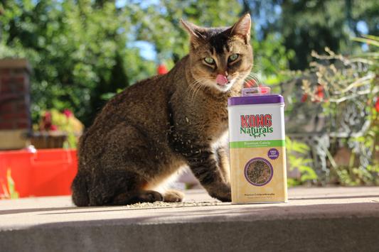 KONG Naturals Premium Catnip, 2-oz tin