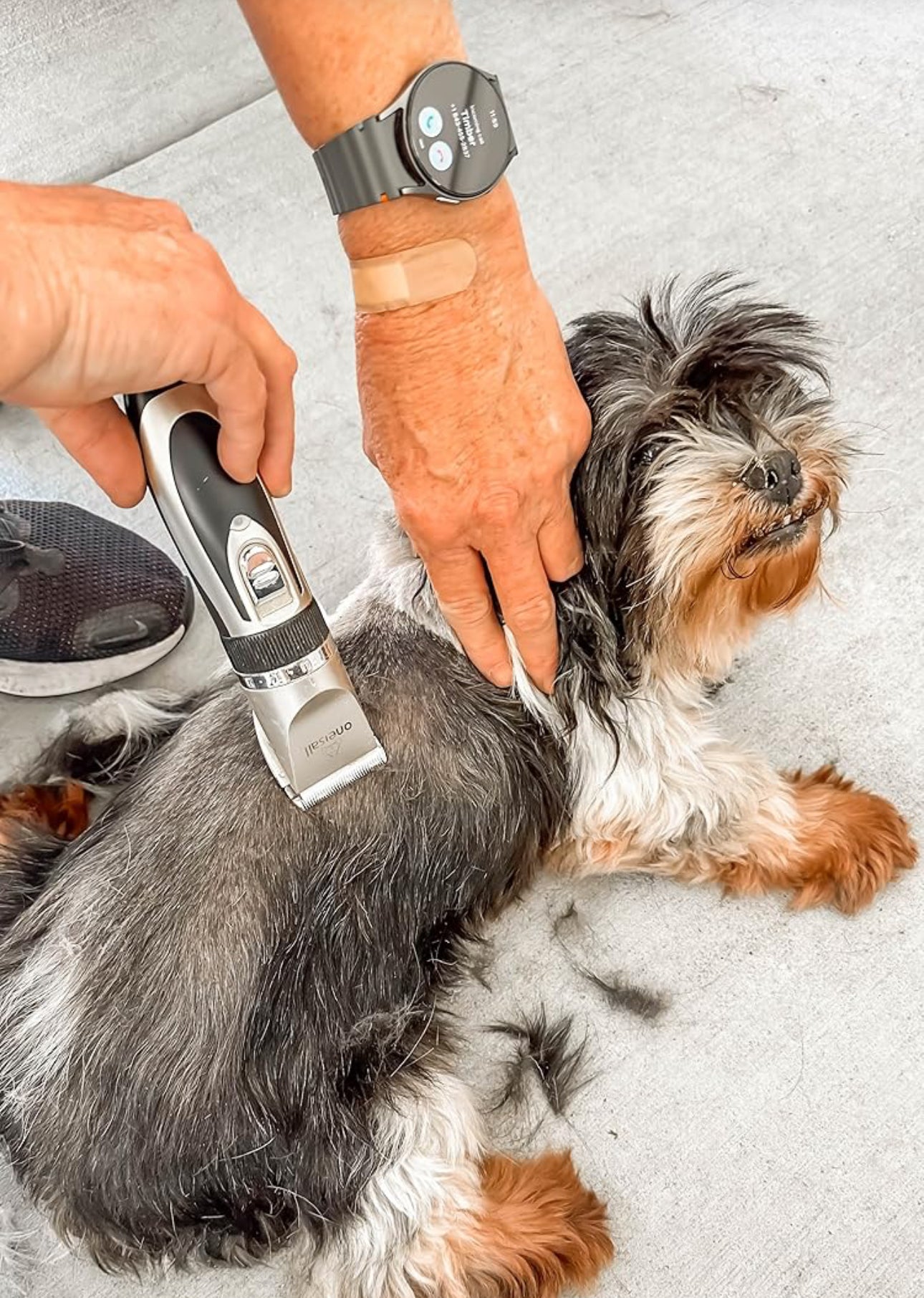 ONEISALL - Cortadora para pelo eléctrico silencioso para perros y gatos