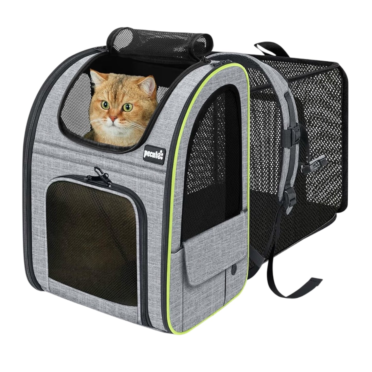 Mochila para mascotas, extensible con malla transpirable para perros pequeños, gatos