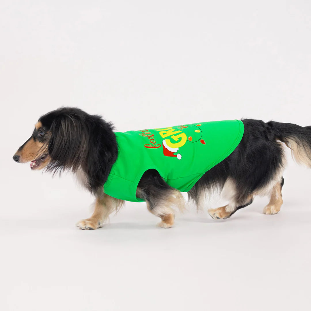 FEELING EXTRA GRUMPY TODAY DOG SHIRT