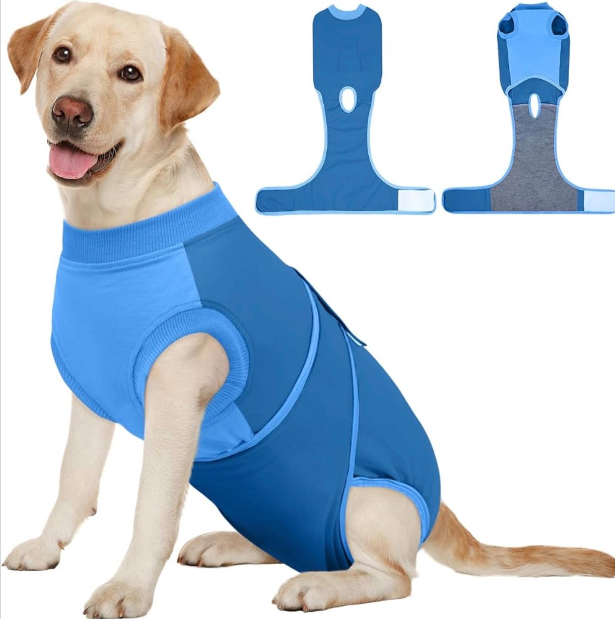Traje de recuperación para perros
