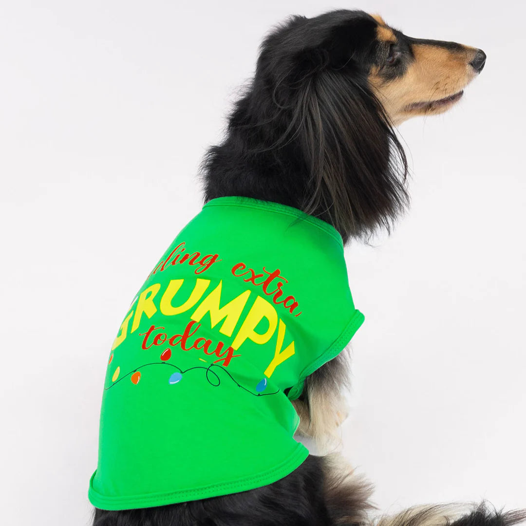 FEELING EXTRA GRUMPY TODAY DOG SHIRT