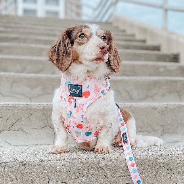 Sassy woof  - A Sprinkle of Sass pechera ajustable