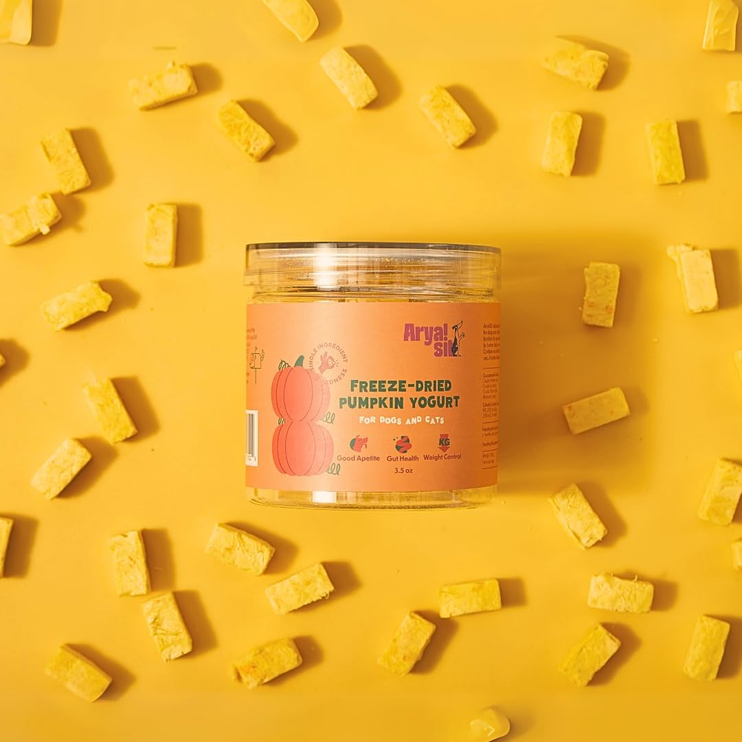 Arya sit - Freeze dried Pumpkin Yogurt