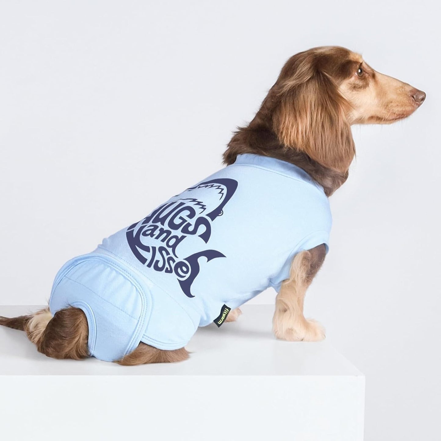 traje de recuperación para perros, algodón