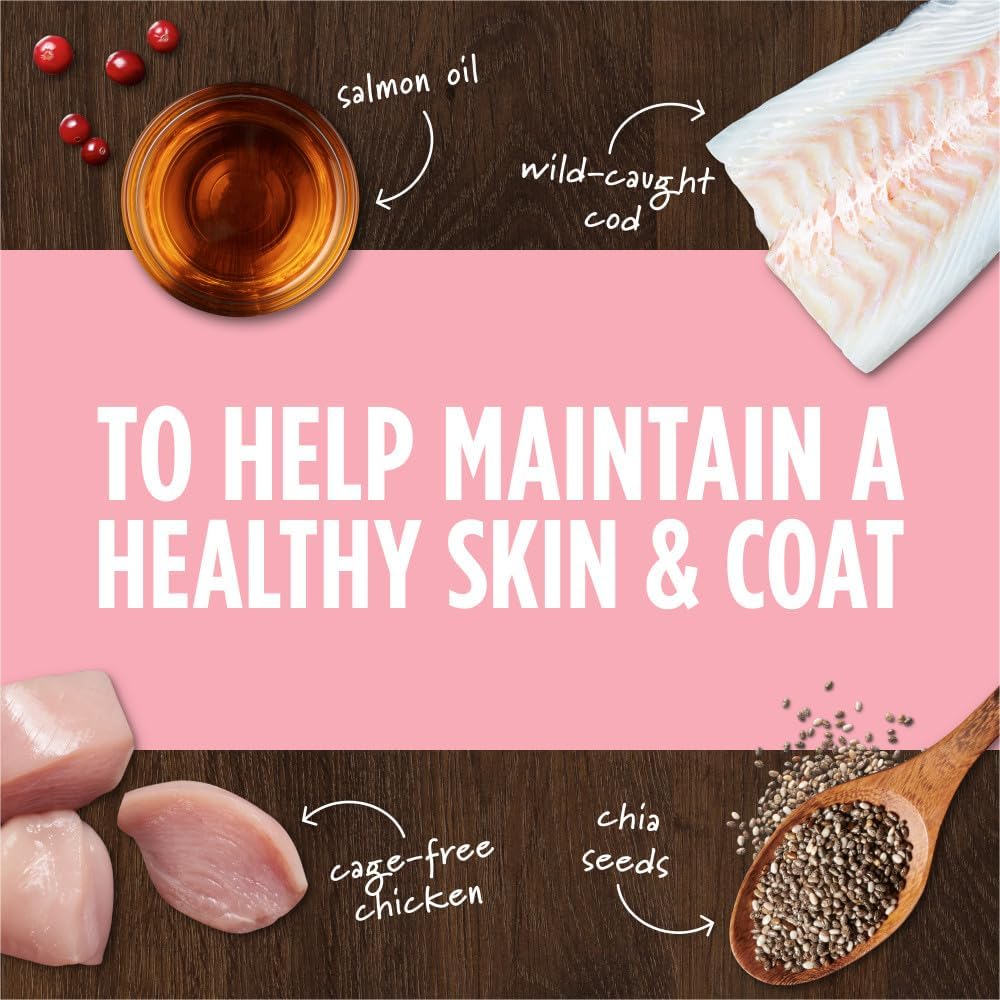 Instinct Raw Boost Mixers Skin & Coat Health - Alimento para perros liofilizado, bolsa de 5.5 onzas