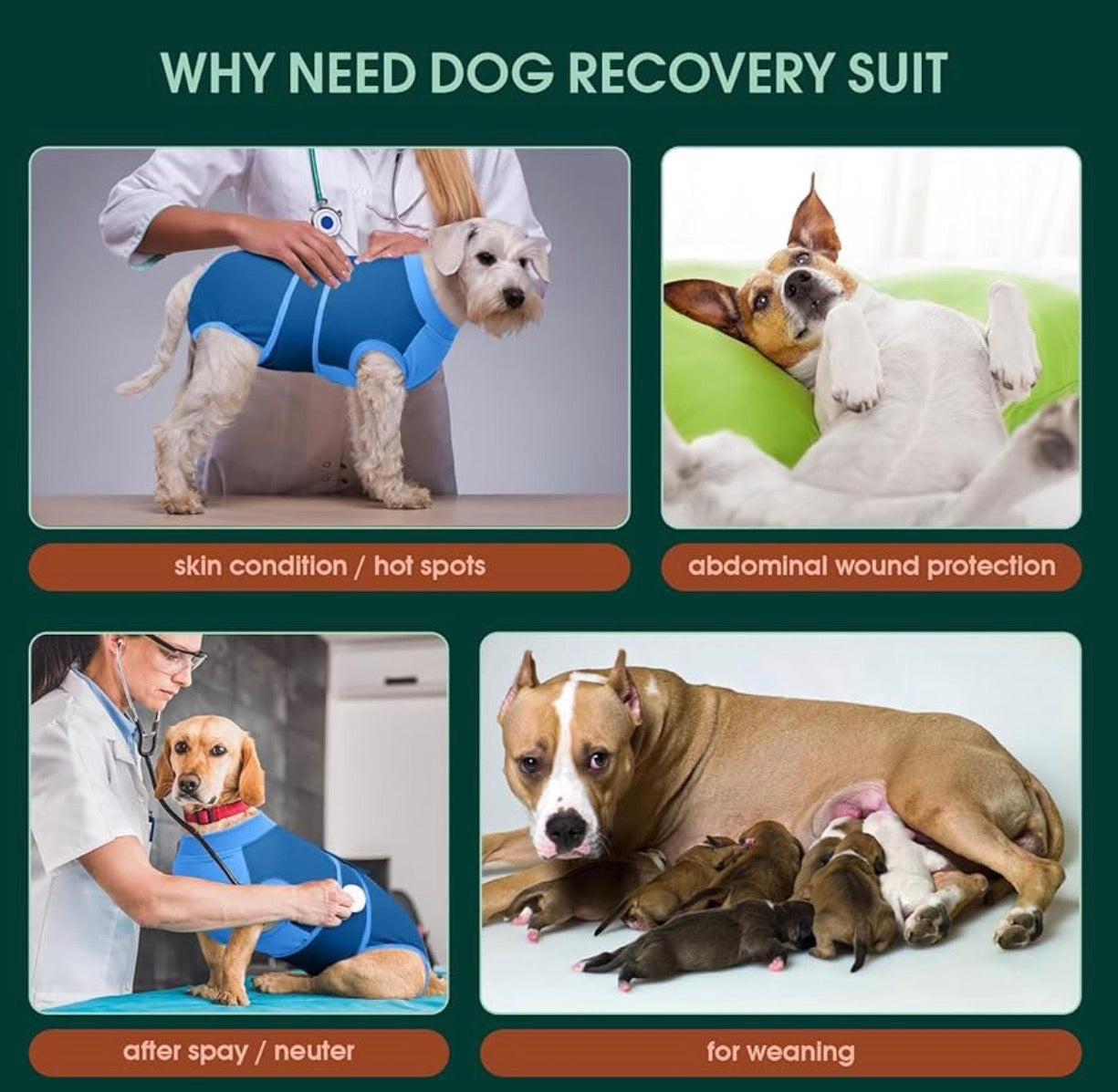 Traje de recuperación para perros