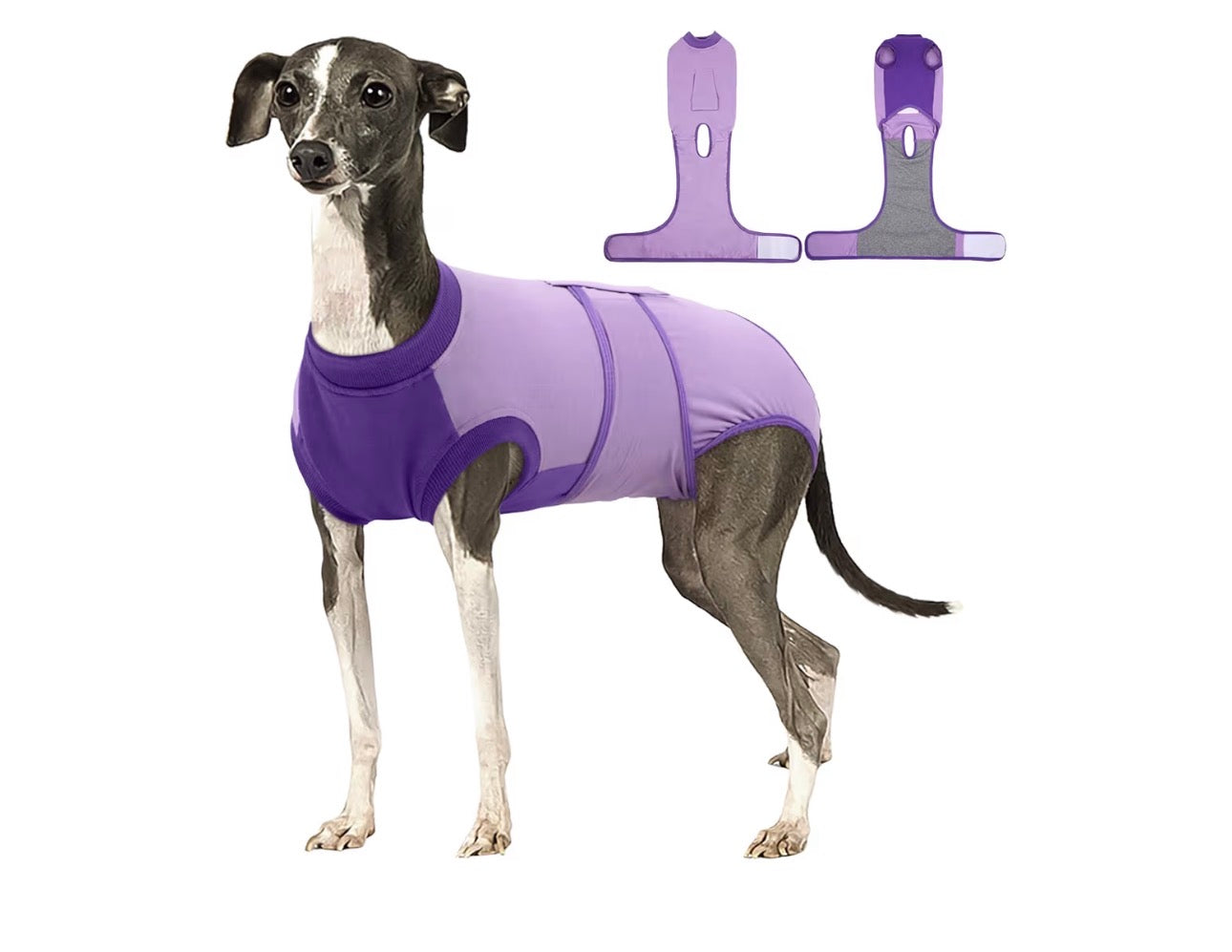 Traje de recuperación para perros después de la cirugía