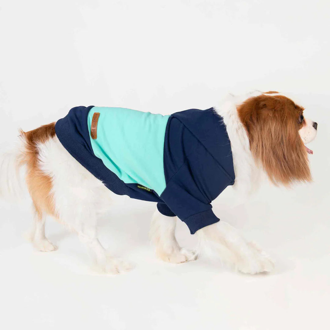 COLOR BLOCK DOG HOODIE