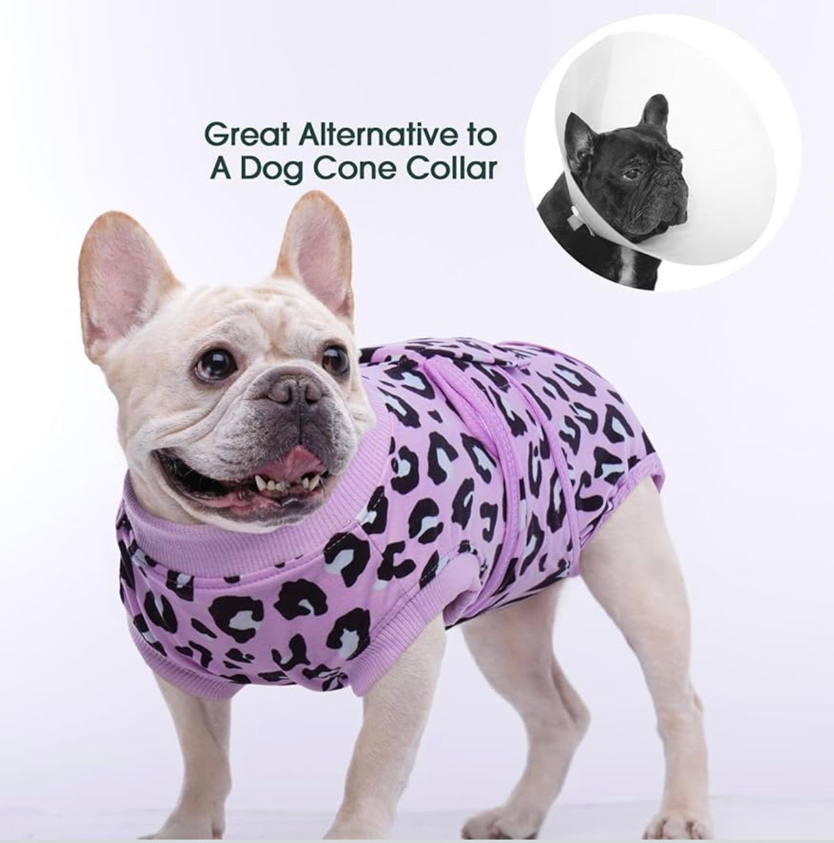 Traje de Recuperación para perros