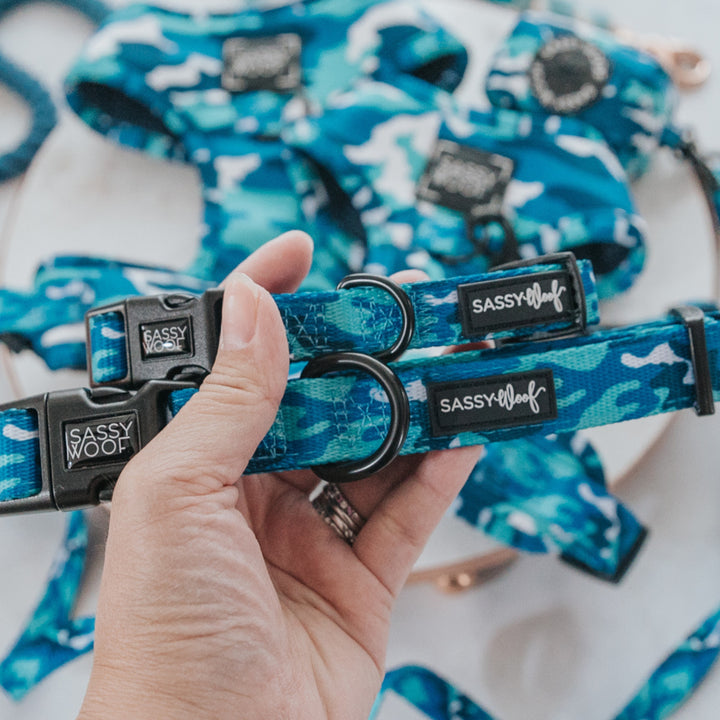 Sassy woof- collar y correa a juego
