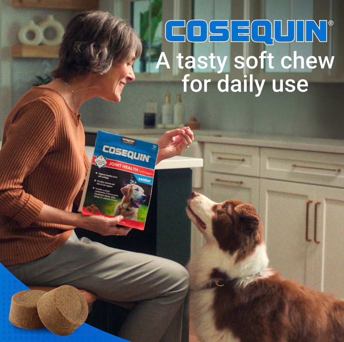 Cosequin for Senior Dogs Joint Health Supplement