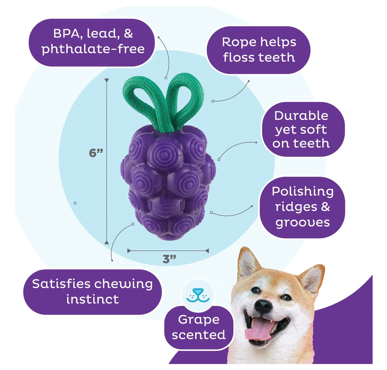 Outward Hound Dental Grapes 2-in-1 Interactive Dog Chew & Treat Dispensing Toy, Medium
