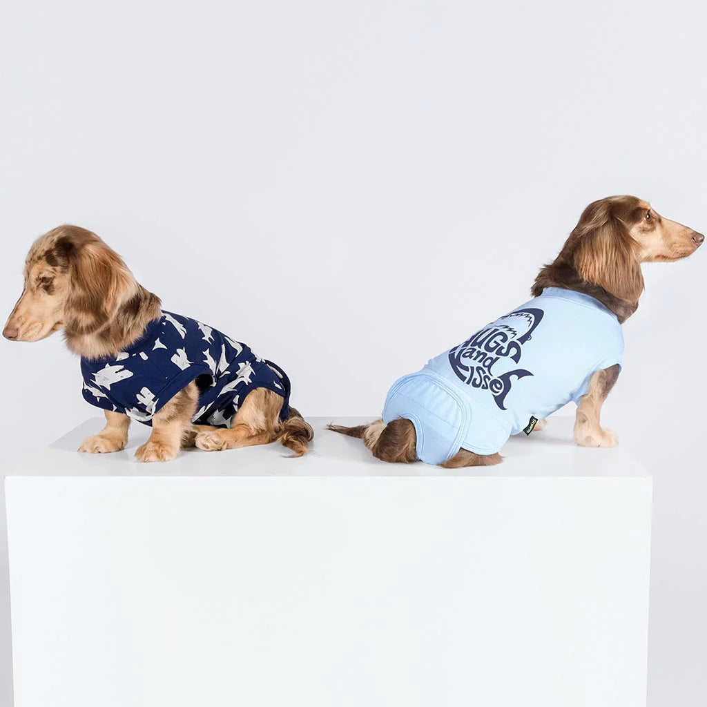 traje de recuperación para perros, algodón
