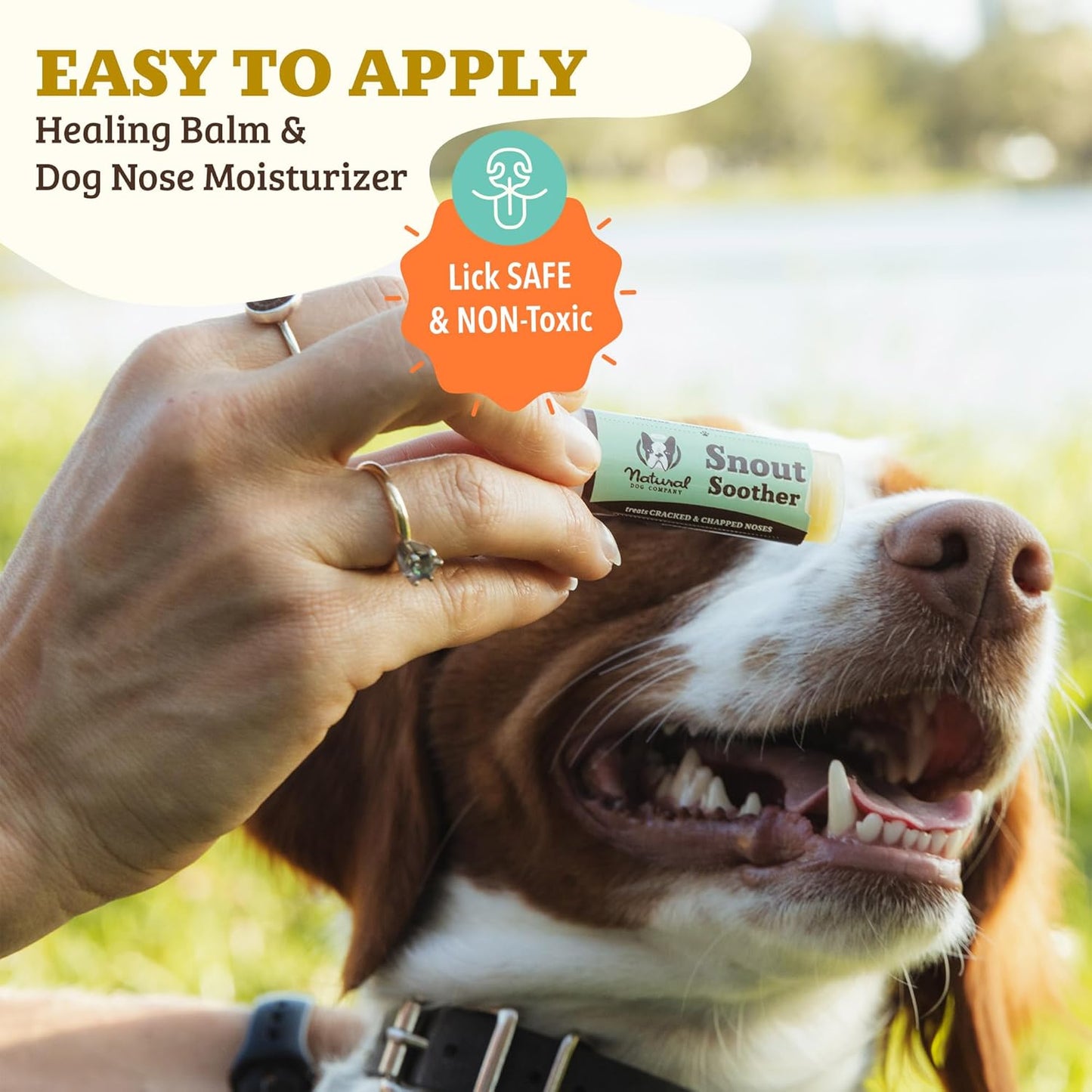 Natural dog company Snout Soother- bálsamo de nariz para perro