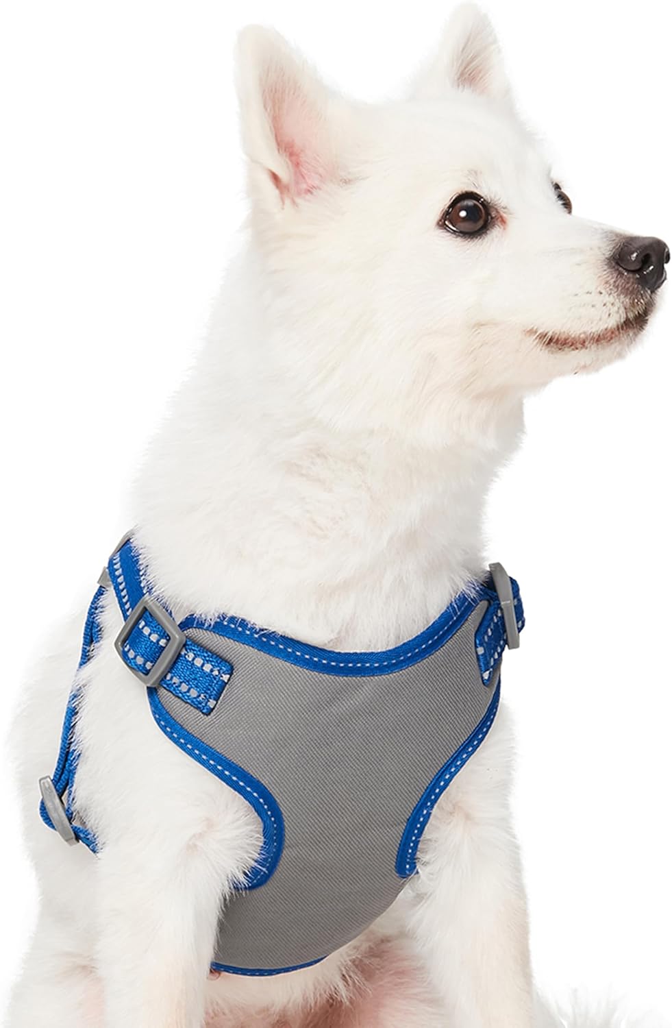 Blueberry Pet  - Juego de arnés reflectante para perro grande