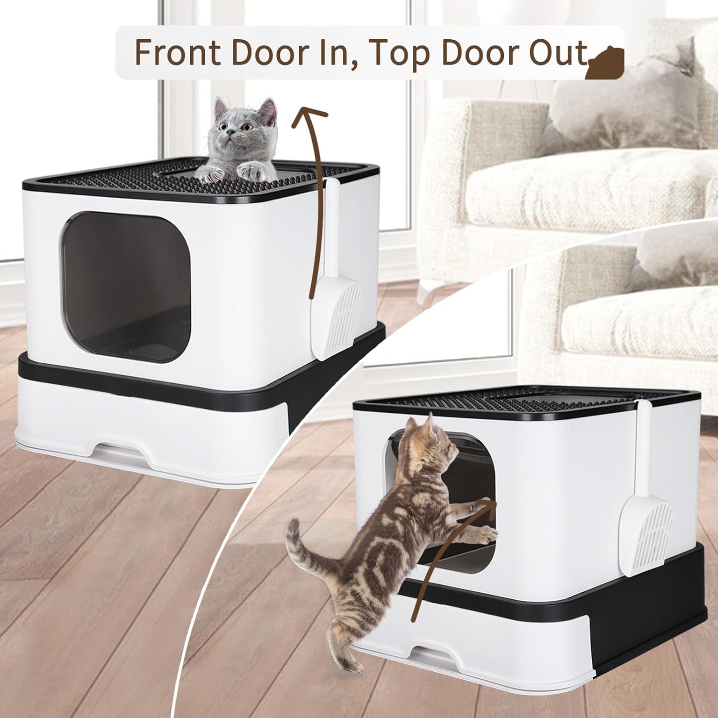 Caja de Acero Inoxidable para Gatos: Diseño Cerrado con Paredes Altas