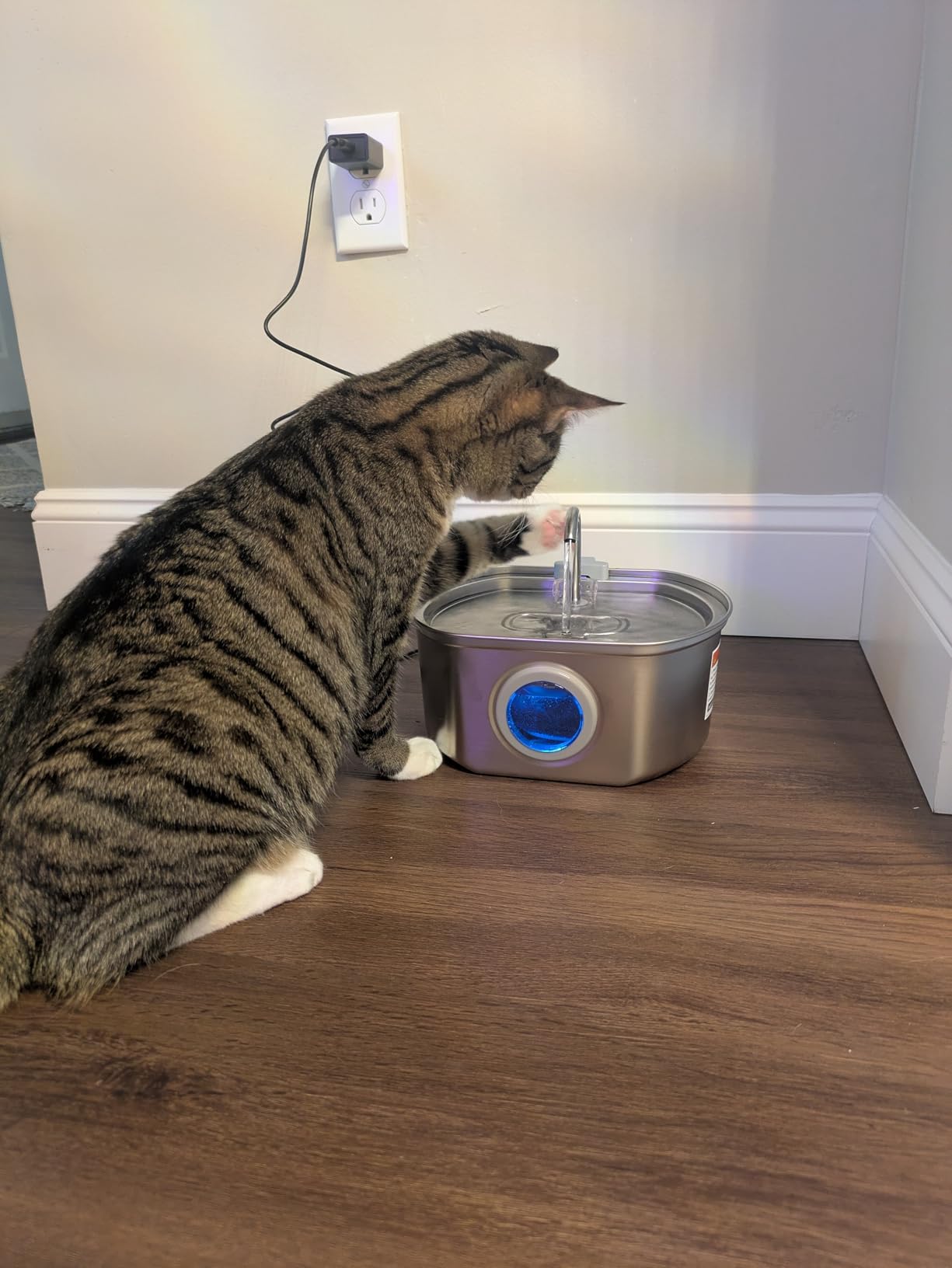 Fuente de agua para gatos de acero inoxidable: fuente para gatos de 108 oz/3.2 L