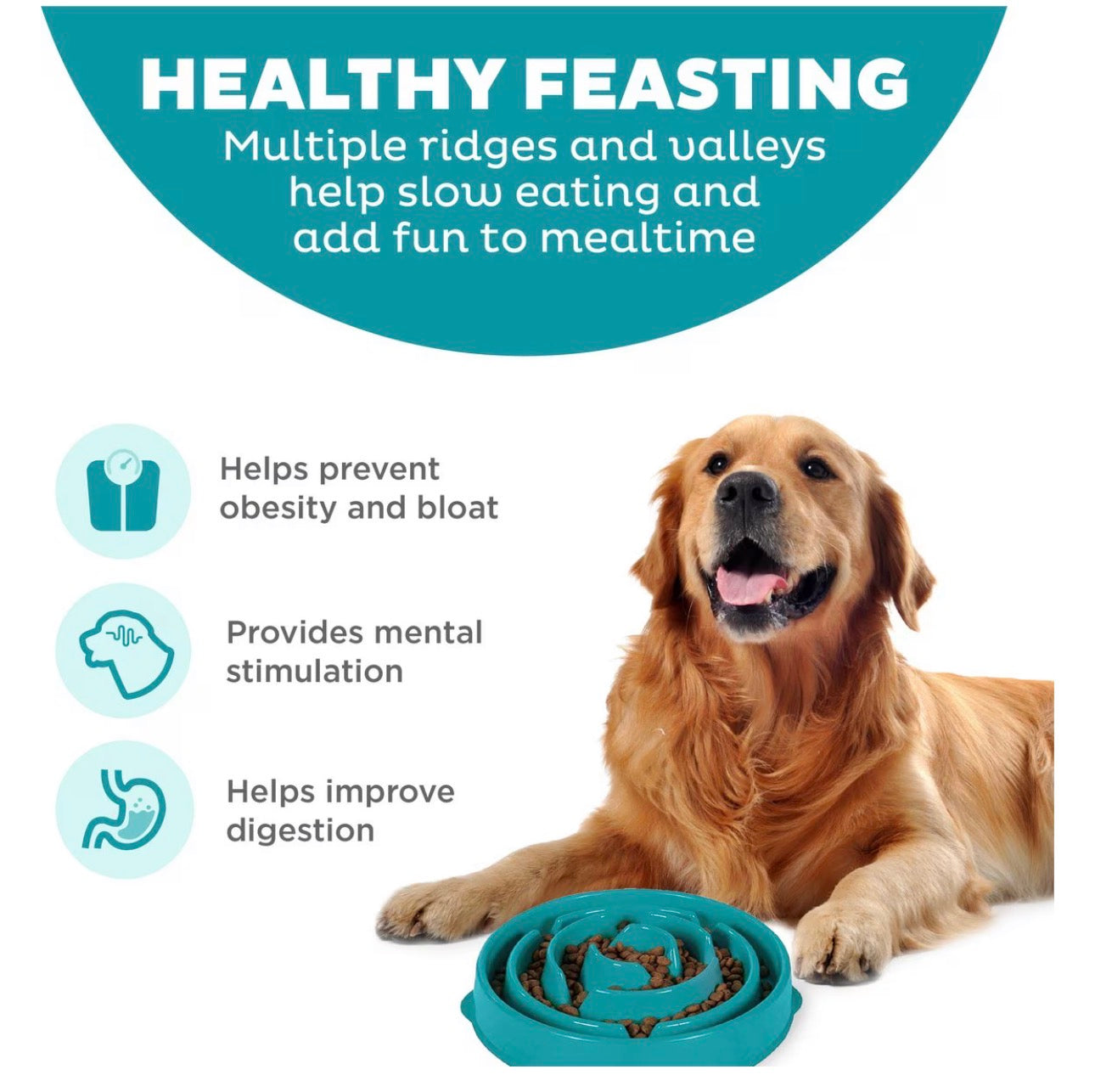 Outward Hound Non-Skid Plastic Slow Feeder Interactive Dog Bowl, Teal, 4-cup