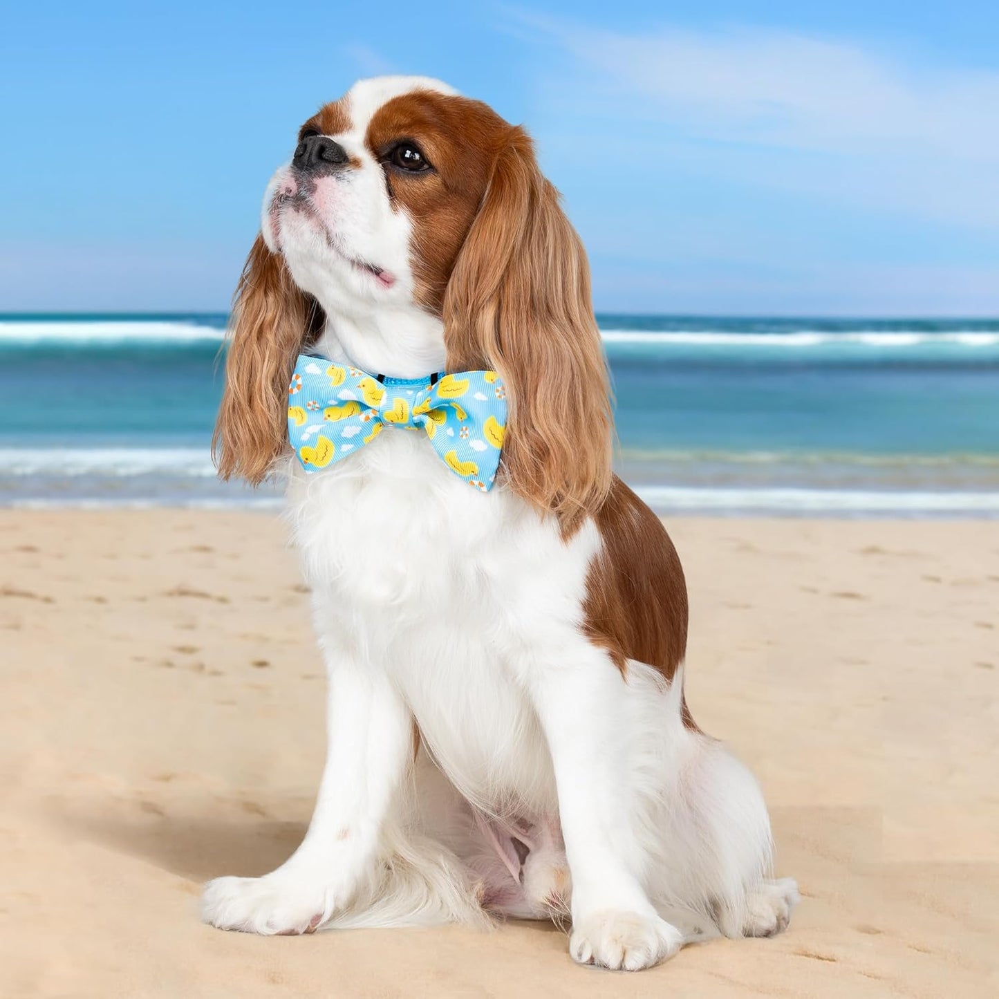 Collar de perro con moño, suave y cómodo