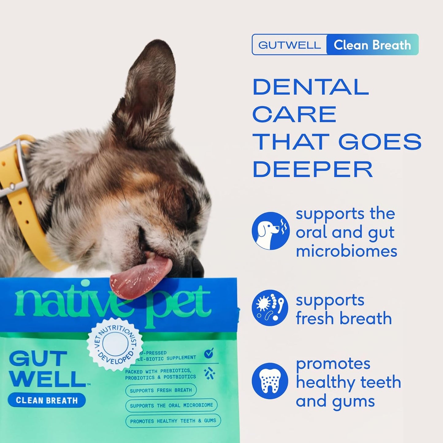 Native Pet GutWell Clean Breath - aliento fresco para perro y polvo dental para perros