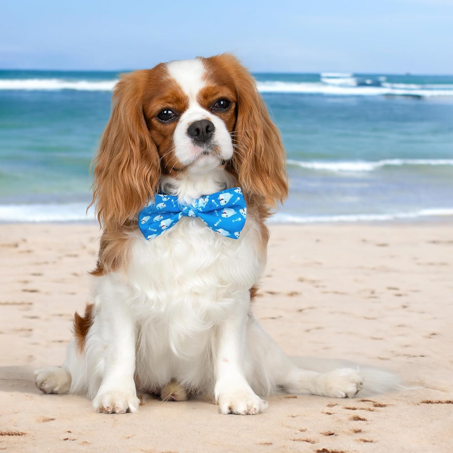 Collar de perro con moño, suave y cómodo, ajustable